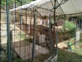 IMG_20260807_082549