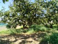 IMG_20260807_092648