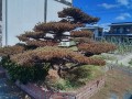 IMG_20260807_094939