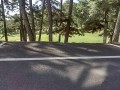 IMG_20260808_074734