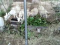 IMG_20260808_172807