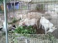 IMG_20260808_172813