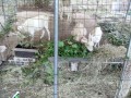 IMG_20260808_172932