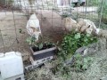 IMG_20260808_172937