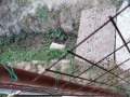 IMG_20260808_172943