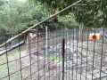 IMG_20260808_172958