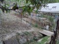 IMG_20260808_173004