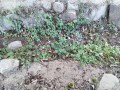 IMG_20260808_173012