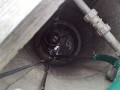 IMG_20260809_075344