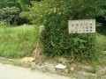 IMG_20260809_075352