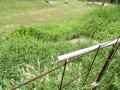 IMG_20260809_075936