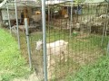 IMG_20260809_080048