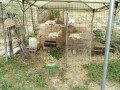IMG_20260809_080133