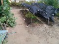 IMG_20260809_103411