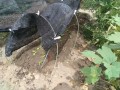 IMG_20260809_103419
