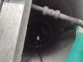 IMG_20260810_082029
