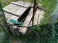 IMG_20260810_082032