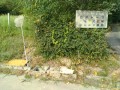 IMG_20260810_082036