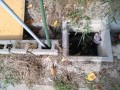 IMG_20260810_082040