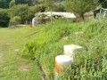 IMG_20260810_082103