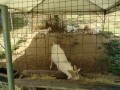 IMG_20260810_082430