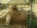 IMG_20260810_082439
