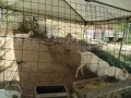 IMG_20260810_082454