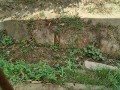 IMG_20260810_082620