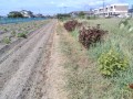 IMG_20260810_093012
