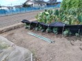 IMG_20260810_093222