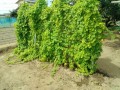 IMG_20260810_093234