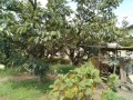 IMG_20260810_093354