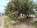 IMG_20260810_093442
