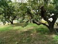 IMG_20260810_093455