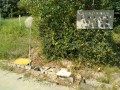 IMG_20260811_090616
