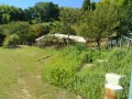 IMG_20260811_090650