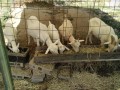 IMG_20260811_091324