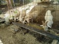 IMG_20260811_091336