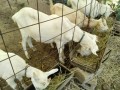 IMG_20260811_091350