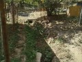 IMG_20260811_091355