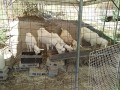 IMG_20260811_091418
