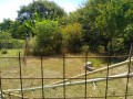 IMG_20260811_091437