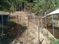 IMG_20260811_091448