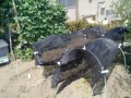 IMG_20260811_102008