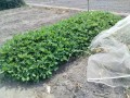 IMG_20260811_102022