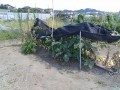 IMG_20260811_102033