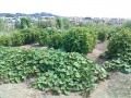 IMG_20260811_102041