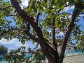 IMG_20260811_103311