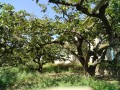 IMG_20260811_103314