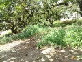 IMG_20260811_105148